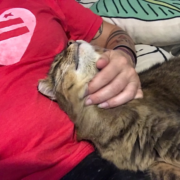 Meet your Posher, Lara - Picture 4 of 4